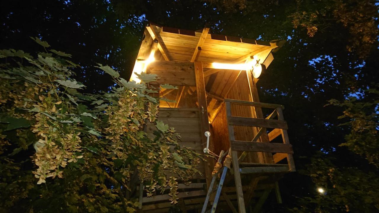 Treehouse Frühstückspension